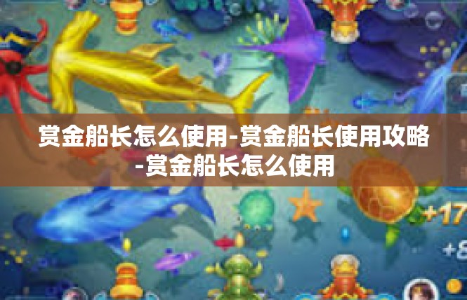 赏金船长怎么使用-赏金船长使用攻略-赏金船长怎么使用