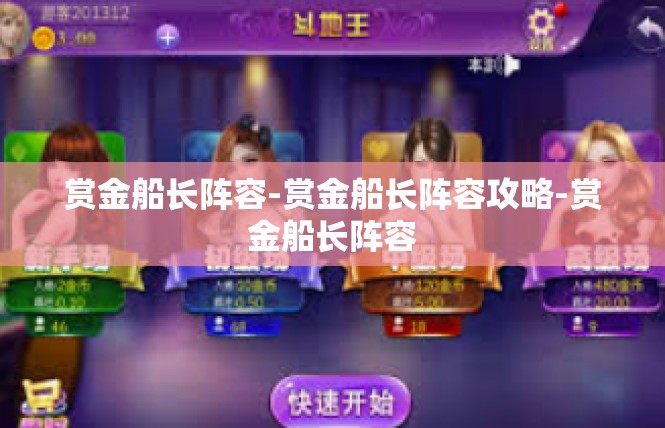 赏金船长阵容-赏金船长阵容攻略-赏金船长阵容