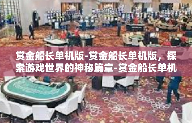 赏金船长单机版-赏金船长单机版，探索游戏世界的神秘篇章-赏金船长单机版