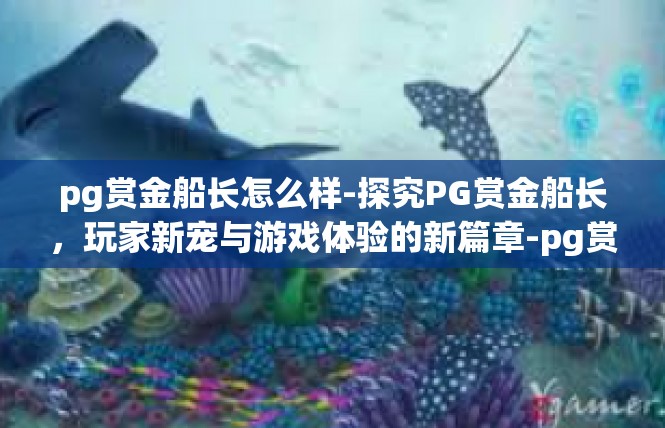 pg赏金船长怎么样-探究PG赏金船长，玩家新宠与游戏体验的新篇章-pg赏金船长怎么样