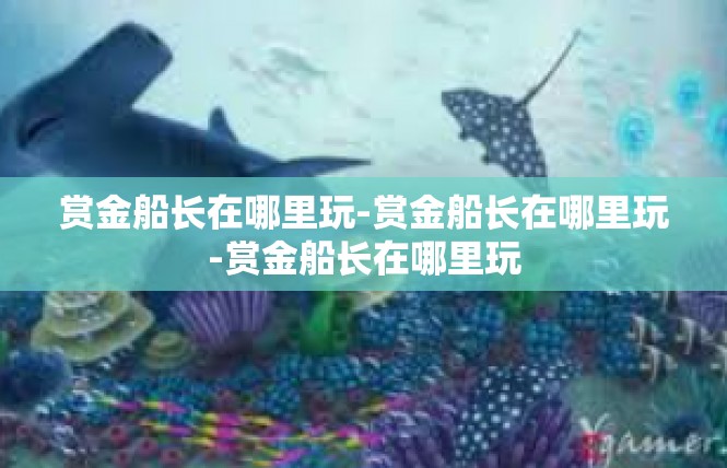 赏金船长在哪里玩-赏金船长在哪里玩-赏金船长在哪里玩