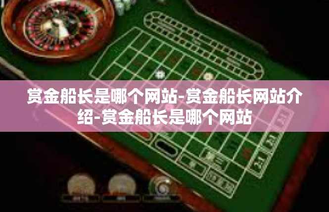 赏金船长是哪个网站-赏金船长网站介绍-赏金船长是哪个网站