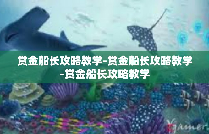 赏金船长攻略教学-赏金船长攻略教学-赏金船长攻略教学