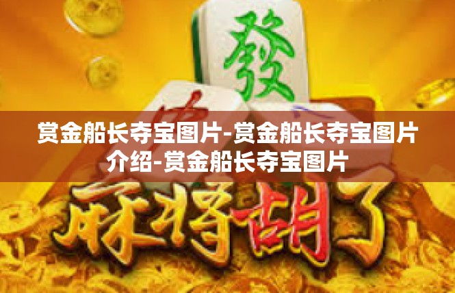 赏金船长夺宝图片-赏金船长夺宝图片介绍-赏金船长夺宝图片